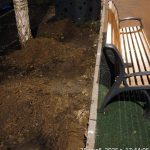 WhatsApp-Image-2025-11-28-at-17.53.41