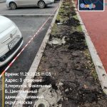 WhatsApp-Image-2025-11-29-at-11.08.28