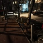 WhatsApp-Image-2025-12-01-at-17.59.01-1