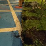 WhatsApp-Image-2025-12-02-at-17.50.18