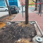 WhatsApp-Image-2025-12-03-at-13.43.23