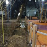 WhatsApp-Image-2025-12-08-at-17.50.48-2