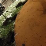 WhatsApp-Image-2025-12-10-at-17.40.43-1