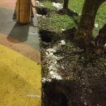 WhatsApp-Image-2025-12-11-at-17.37.09