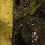 WhatsApp-Image-2025-12-11-at-17.37.12