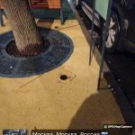 WhatsApp-Image-2025-12-11-at-17.38.24