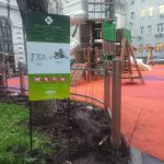 WhatsApp-Image-2025-12-11-at-17.42.23-2