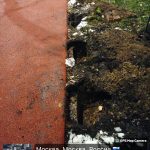 WhatsApp-Image-2025-12-11-at-17.58.41