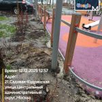 WhatsApp-Image-2025-12-12-at-13.05.10-1