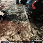 WhatsApp-Image-2025-12-13-at-17.41.38